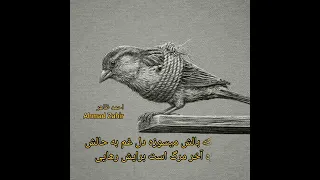 احمد ظاهر دنیایی زندانی 