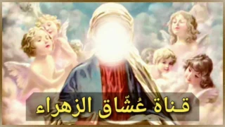 ماتعتقده الشيعه عن  فرحه الزهراء  بصوت ومقطع السيد محمد الصدر قدس سره دندنها