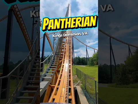 Pantherian at Kings Dominion! Have you ridden it? #rollercoaster #themepark #amusementpark #travel