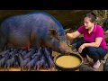 Download Lagu Rawat Anak Babi Baru Lahir \u0026 Bangun Rumah Baru untuk Anjing-Anjingku
