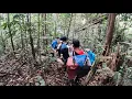 Download Lagu HARI PERTAMA MENJELAJAH HUTAN TERDALAM SUMATRA BANYAK BURUNG CUCAK IJO DI SINI