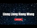 Download Lagu Liang Liang Xiang Wang (No Vocal Version) - Winnie Hsin | Karaoke