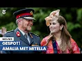 Download Lagu Prinses Amalia toont gebroken arm na val van paard