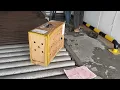 Proses Keberangakatan Pengiriman Dari Cargo Bandara Sepinggan Balikpapan Kaena Farm