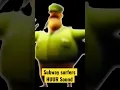 Subway surfers HUUR sound (low quality)