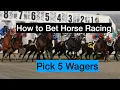 How To Bet Horse Racing Pick 5 Money Making Strategies