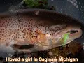 Saginaw Michigan - Lefty Frizzell (with lyrics)