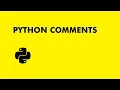Python comments
