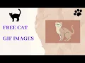 Useful Canva Free Cat Gif Images