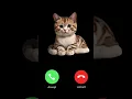 Download Lagu MI TELEPON SOUND EFFECT #shortvideo #shorts