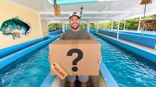 Surprising Shiner Sam's BAIT SHOP With $20,000 UPGRADES!!! (thank you guys)