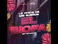 La Chica De Mis Sueños