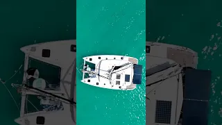 Daily routine living on a sailboat in Bora Bora⛵ #sailinglife #travel