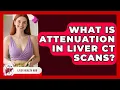 What Is Attenuation In Liver CT Scans - Liver Health Hub