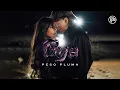 Download Lagu Peso Pluma - Bye (Video Oficial)