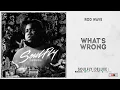 Rod Wave - What s Wrong SoulFly Deluxe