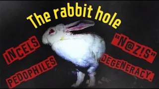 Into The Rabbit Hole TikTok s most disturbing community