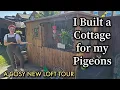 Download Lagu 🏡 I Built My Pigeons Their Own Cottage | A Cosy New Loft Tour