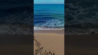 Beach Peacefull Sea Waves Free Videos For Editing Practice Aesthetic Video Download Video 