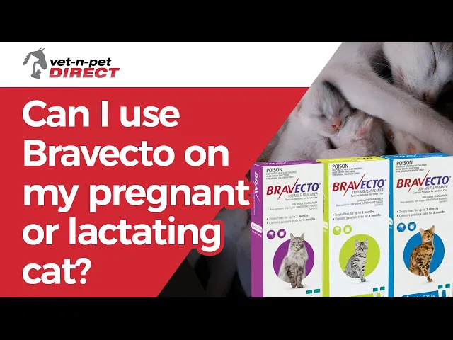 Bravecto Spot-on for Small Cats 1.2kg-2.8kg (Green) - 3 Month Flea and Tick Protection