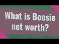 What is Boosie net worth