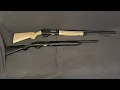 Escort semi automatic shotguns 2 year review