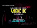 Lagu ANGKE HO | Karaoke Lagu Tapsel | Alimuddin Daulay