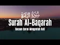 Download Lagu SURAH AL BAQARAH | Setan Kabur dari Rumah | Penenang Hati dan Pikiran | Ahmad Al Shalabi