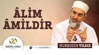 34) Âlim Âmildir
