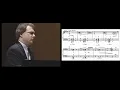 Franz Liszt - Hungarian Rhapsody No. 2, with Cadenza by M.A. Hamelin