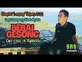 Download Lagu Bebay Gesong, A. Syahroni, Arr : Jeck Romantika, Dangdut Lampung Terbaru 2022