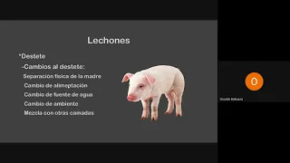 Clase teórica, nutrición y alimentación de cerdos (29/10/2020)