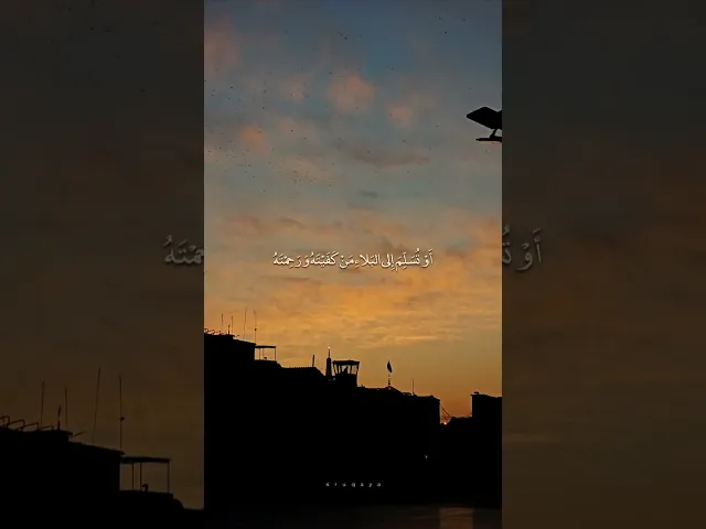⁣هيهات انت أكرم من ان تضيع من ربيته #الشيخ_شبر_معله