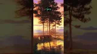 التقوى هي الميزان الحقيقي بين الناس دروس وعبر من حديث النبي ﷺ عن التفاضل 