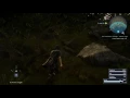 Final Fantasy XV The Professor s Protege - Yellow Frogs