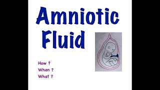 Download What Is Amniotic Fluid | Does Fetus Swallow It's Urine | In 10 Minutes | Quick Concept | USMLE  1 MP3