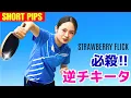 Download Lagu [Korte Pips] Nieuw \