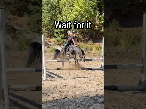 OH NO, ELLA FELL OFF😱 #fail #shorts #horse