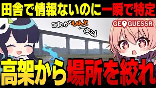 開幕即ゲスのめめんともりと呼吸を合わせて場所を特定せよ GeoGuessr ゆっくり実況 20 