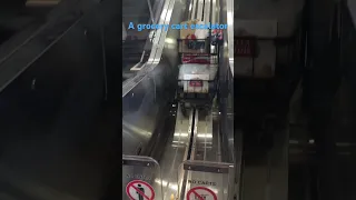 Safeway grocery cart escalator
