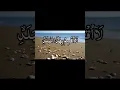 Download Lagu Surah Al -balad || surah no 90