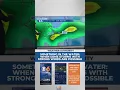 Weather for 2023 Something in the Water festival in Virginia Beach
