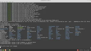 A look at memmove