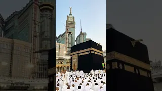 زين للناس حب الشهوات من النساء بصوت الشيخ عبدالرحمن مسعد 