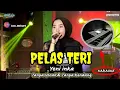 Pelas Teri - Yeni inka Cover Koplo Jaranan Tanpa kendang #NewAdella