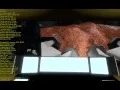 Camera to LCD - Priorities