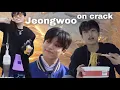 Park Jeongwoo on crack (a compilation)