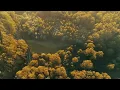 10 Hours of Calming Piano & Guitar Music - Sleep, Chill, Relax, Yoga, BGM (Early in the Morning)