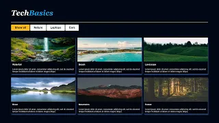 Filterable Image Gallery in HTML CSS JavaScript Portfolio Website