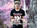 Download Lagu Amelia - D'p@s'4